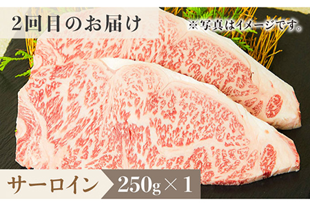 ＜6回定期便＞1ヶ月に1度の佐賀牛ひとり贅沢コース ステーキ/焼肉/スライス【ミートフーズ華松】 ブランド 高級 和牛 霜降り BBQ やわらか 冷凍 料理 しゃぶしゃぶ 鍋 精肉 牛肉 希少 赤身 