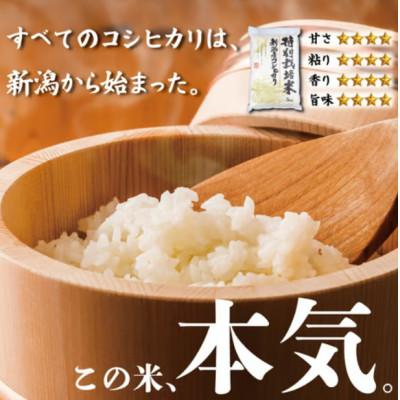 ふるさと納税 新発田市 令和7年産!自然の恵みと安心を凝縮した、新潟県新発田市産 「特別栽培米こしひかり」5kg(白米) |  | 01