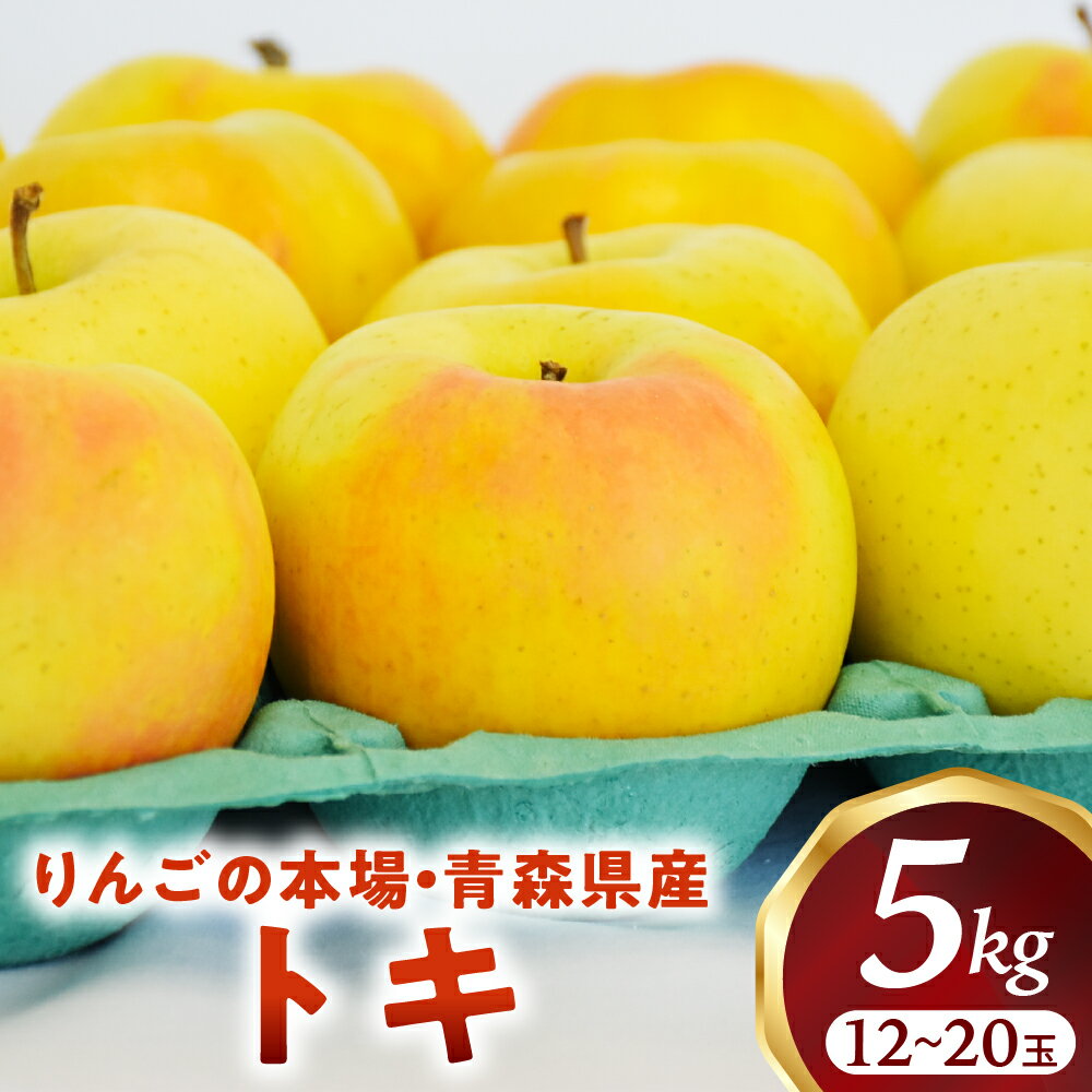 【ふるさと納税】青森りんご【トキ】約5kg（12〜20玉）【2025年産・先行予約】★2025年9月下旬〜11月上旬頃まで発送予定★りんご 林檎 フルーツ 果物 果実 青森 青森県 青森県産 三戸 三戸町 高級 贈答 ギフト プレゼント 産地直送 農家直送 ふるさと 送料無料