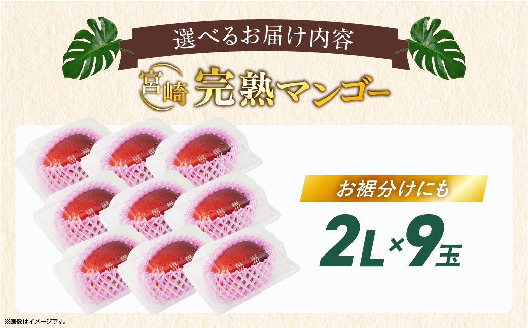 先行予約 数量限定 完熟マンゴー 2L×9玉（パック）マンゴー 宮崎 果物 フルーツ くだもの 2027年 国産 高級 マンゴージュース 南国フルーツ おすすめ デザート ギフト 贈り物 プレゼント 贈答 冷蔵 綾町 送料無料 【JA綾町】_A0114-1033