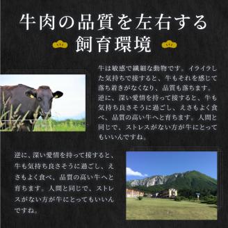 HA-05　大山黒牛バラ焼肉 600g