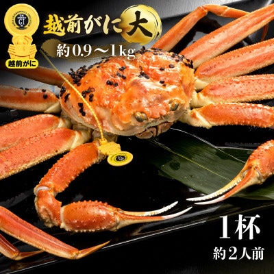 越前がに 浜茹で 大サイズ(生で約0.9～1kg) × 1杯 約2人前【3月発送分】【配送不可地域：離島・北海道・沖縄・九州】【1383626】