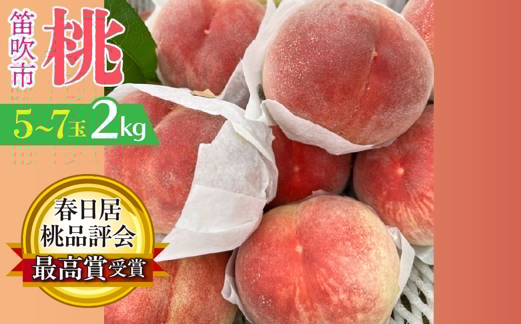 
            【2026年発送★先行予約】春日居桃品評会最高賞受賞！！桃の一大産地「春日居のもも」2kg 5～7玉 230-007-26y
          