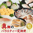 【ふるさと納税】【定期便6回】真鯛のバラエティー定期便 送料無料