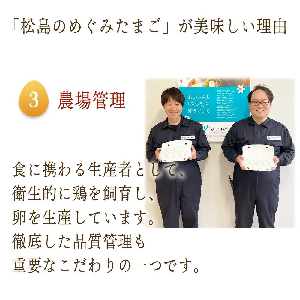 松島のめぐみたまご　40個入り　3ヵ月定期便 No.163