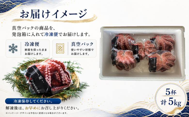 【北海道根室産】柳蛸ボイル5杯(計5kg) D-20011