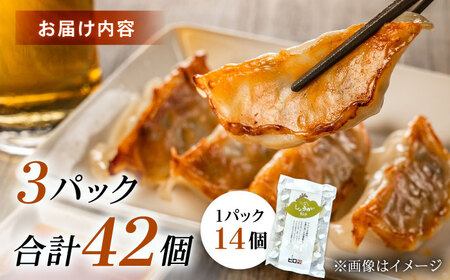【3パック】餃子屋ヒロの しょうが餃子【餃子屋ヒロ】開成町 餃子 点心 惣菜 冷凍[BDAS006-2]