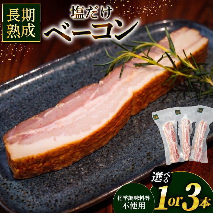 【ふるさと納税】 ベーコン 燻製 ブロックベーコン 選べる 200g 600g 【化学調味料等無添加】[グリュン江南 愛知県 江南市 ko23btu160007] 肉 岩塩 豚肉 厚切り ブロック ジューシー 無添加 肉加工品 加工品 真空パック BBQ バーベキュー お弁当 おかず