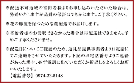 159-890-C 【シック系】フローリストセレクト (おまかせ) 季節のフラワーブーケ フラワー お花 花束