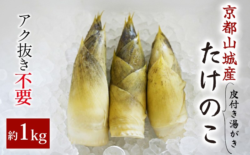 
                  【湯がき済み】朝掘り京たけのこ 約1kg(2～3本) 京都山城産 <2026年4月発送> 令和8年 先行予約 下処理済み 皮付き 茹で ゆで 朝採れ 手軽 お手軽 簡単調理 白子筍 朝掘り 新鮮 筍 竹の子 たけのこ 京たけのこ 国産 京都山城京野菜 野菜 国産 炊き込みご飯 煮物 旬 春 まるやま食品 京都 京都府 井手 井手町
                