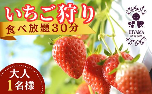 
檜山いちご園 いちご狩り　食べ放題30分　大人１名様（中学生以上）　チケット送付 　【茨城県 常陸太田 香り 大粒 いちご いちご狩り 厳選 フルーツ 苺 イチゴ 新鮮 朝採れ 糖度 酸味 バランス 濃厚 味わい 日持ち 品種 甘い サクサク やよいひめ 果肉 まろやかな 苺 品質 健康 果物 デザート 人気 】
