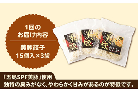 【全12回定期便】美豚ちゃんと餃子のバラエティセット計9袋(3種×3袋) 味付け 豚肉 SPFポーク 小分け 国産野菜 ギョウザ 五島市/長崎フードサービス [PEL033]