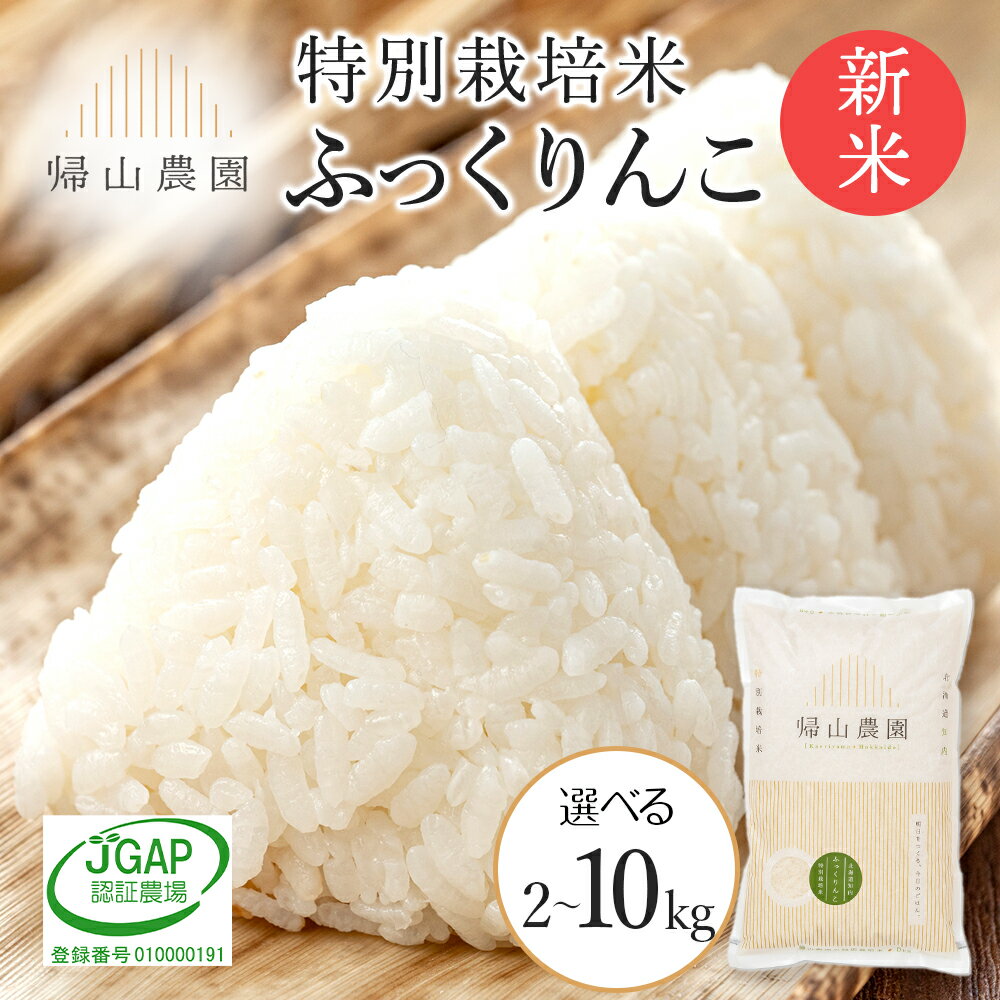 【ふるさと納税】【令和7年産新米予約】特別栽培米産地直送「ふっくりんこ」 選べる 2kg〜10kg 《帰山農園》知内町 ふるさと納税 米 こめ 北海道産お米 北海道米 美味しいお米 北海道産米 道産米 ふるさと納税 秋 旬
