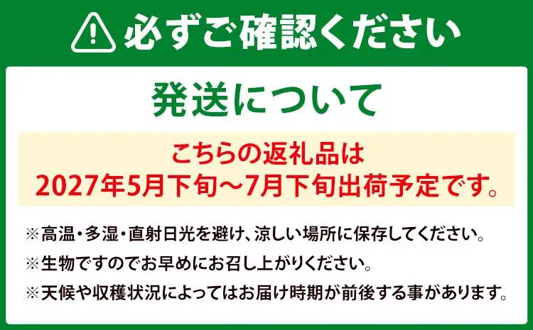 【先行予約】スイカ 訳あり 小玉すいか 2玉 約 2kg ～ 3kg M ～ 3L 混合 株式会社Foody’s 食彩たかみ 《2027年5月下旬-7月下旬頃出荷》 熊本県 菊池市 フルーツ 果物 ス