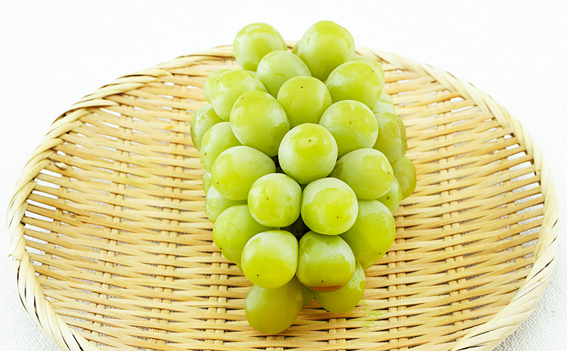 ぶどう 2025年 先行予約 マスカット・オブ・アレキサンドリア 1房 700g以上 化粧箱入り マスカット 岡山県産 国産 フルーツ 果物 ギフト 食後 デザート 上品な香り 果物の女王 さっぱり 