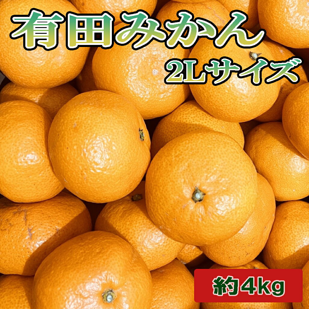 【ふるさと納税】 [秀品]和歌山有田みかん約4kg(2Lサイズ) ※2026年11月中旬～2027年1月中旬頃に順次発送予定(お届け日指定不可)
