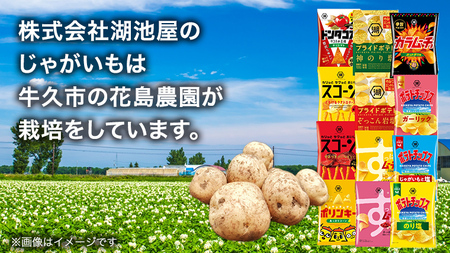 カルビー ポテトチップス スナック菓子 お楽しみ 24袋 セット ポテチ お菓子 おかし 大量 スナック おつまみ ジャガイモ じゃがいも まとめ買い 期間限定 数量限定