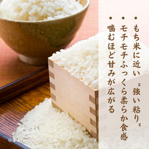 モチモチふっくら「ミルキークイーン」精米10kg ／ 米 こめ コメ お米 ご飯 ごはん ミルキークイーン 白米 精米 令和7年産 新米 10kg 利根町 送料無料