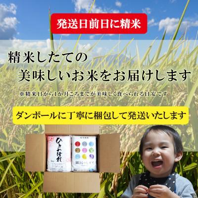 ふるさと納税 盛岡市 お米2種食べ比べ ひとめぼれ 銀河のしずく精米 各5kg  盛岡市産 合計10kg |  | 03