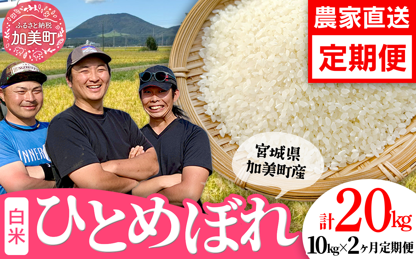 先行予約（2026年10月中旬～発送）【10kg×2回 計20kg】 米 宮城県産 ひとめぼれ 10kg 定期便 《 令和8年産 》 白米 精米 ご飯 ごはん コメ こめ お米 小分け 家庭用 結心フ