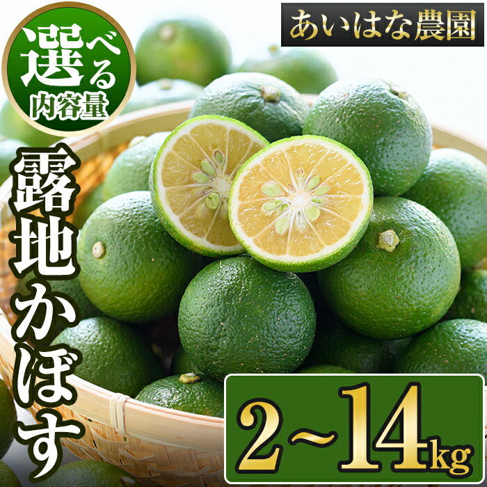 【ふるさと納税】＜内容量が選べる＞＜先行予約受付中！2025年8月上旬～2026年2月下旬ごろ順次発送予定＞露地カボス(約2～14kg) かぼす カボス 柑橘 特産品 大分県産【107100101】【あいはな農園】