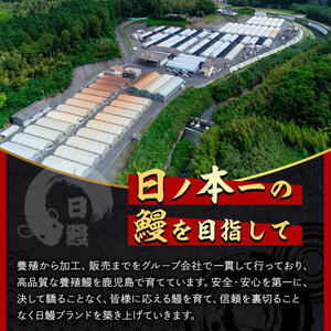 日ノ本一の鰻の蒲焼き＜特大＞4尾セット(計940g以上) うなぎ 鰻 ウナギ 国産 鹿児島県産 九州産 蒲焼き 冷凍 うな重 ひつまぶし d0-027
