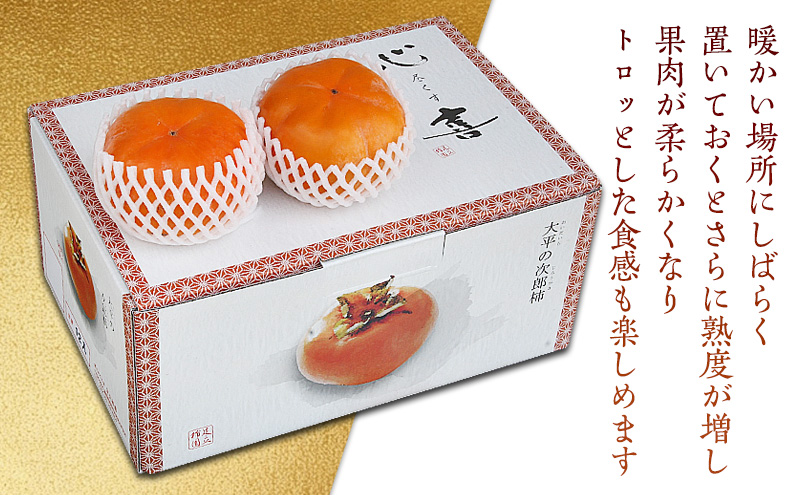 【2026年11月中旬より順次発送】幻の 次郎柿 2L 3kg 12個 贈答