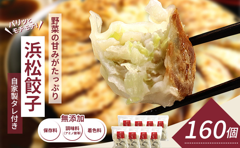 
            浜松餃子 知久屋 山盛り セット 160個 (20個×8袋) 詰め合わせ 自家製 たれ 32袋 ぎょうざ 餃子 ギョーザ 冷凍餃子 冷凍ぎょうざ 冷凍 冷凍食品 中華 惣菜 食品 おかず 静岡 静岡県 浜松市 【配送不可：離島】 [№5786-1034]
          