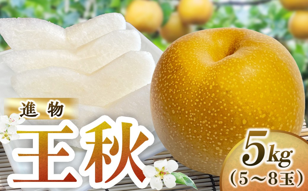 
                  王秋【進物】5kg（岸田秀果園） 鳥取 梨 なし ナシ 果物 フルーツ 和梨 王秋 おうしゅうなし 人気  進物 贈答用
                