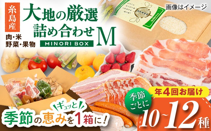 【全4回定期便】糸島産 肉 米 野菜 果物 厳選詰め合わせ MINORI BOX Mサイズ【季節ごとに年4回お届け】 糸島市 / emma.Inc / 米 肉 野菜 果物 詰め合わせ[AOP002] 米 こめ 肉 にく 野菜 やさい 果物 くだもの 糸島 詰め合わせ MINORI