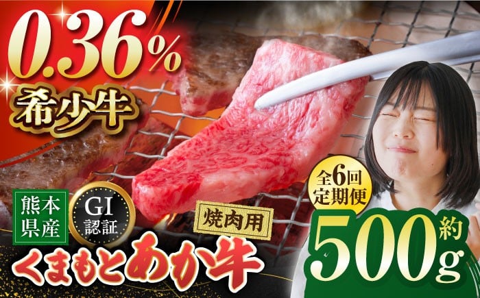 
            【6回定期便】GI認証 くまもとあか牛 焼肉用 約500ｇ【山鹿市（桜屋）】 [ZBO063]
          