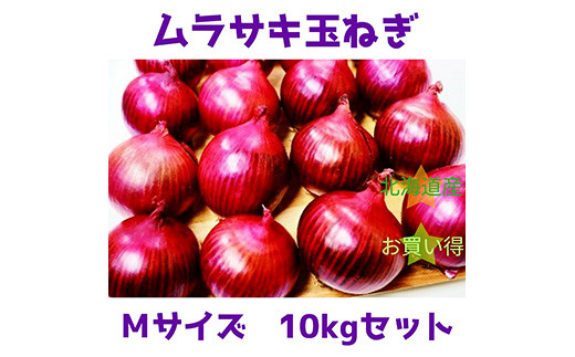【北海道岩見沢市産】紫玉ねぎMサイズ 10kg【09116】[a107-026]