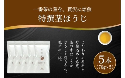 茶 特撰 ほうじ茶 70g 5本 [谷岩茶舗 宮崎県 日向市 452061671] 日本茶 お茶 茶葉 茎ほうじ 一番茶 新茶