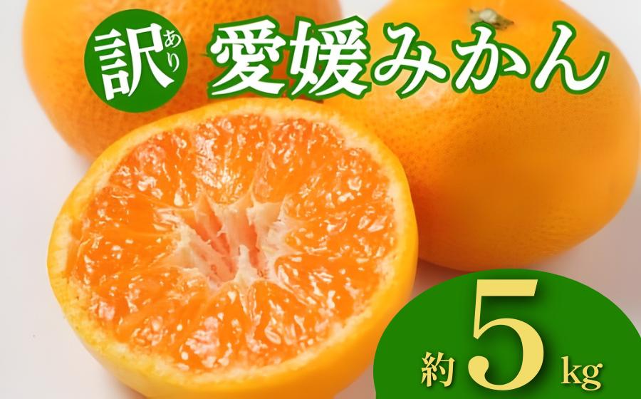 
                  【先行予約：2026年12月上旬～発送】訳あり 愛媛みかん 約5kg 10000円 みかん 蜜柑 温州みかん オレンジ 果物 フルーツ 柑橘 こたつ みかん 人気 期間 限定 サイズ 傷 不揃い サイズミックス サラダ スムージー お菓子 ケーキ スイーツ 甘い ジューシー 濃厚 甘み コク とろける 果肉 家庭用 数量限定 期間限定 国産 農園 産地 直送 和家農園 愛媛県 愛南町
                