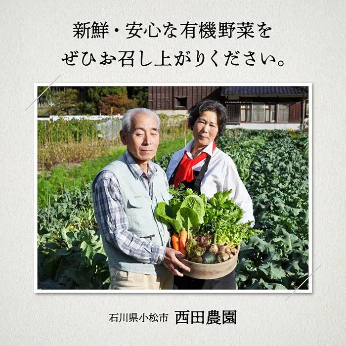 有機野菜 定期便 6ヶ月 有機野菜