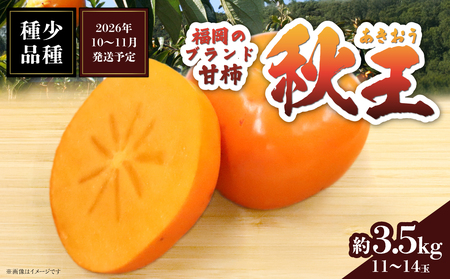 秋の贅沢、濃厚であま～い柿の新ブランド「秋王」約3.5kg（11～14玉）＜配送不可：北海道・沖縄・離島＞ 柿 フルーツ 秋の味覚 濃厚 サクサク 大玉 072-197