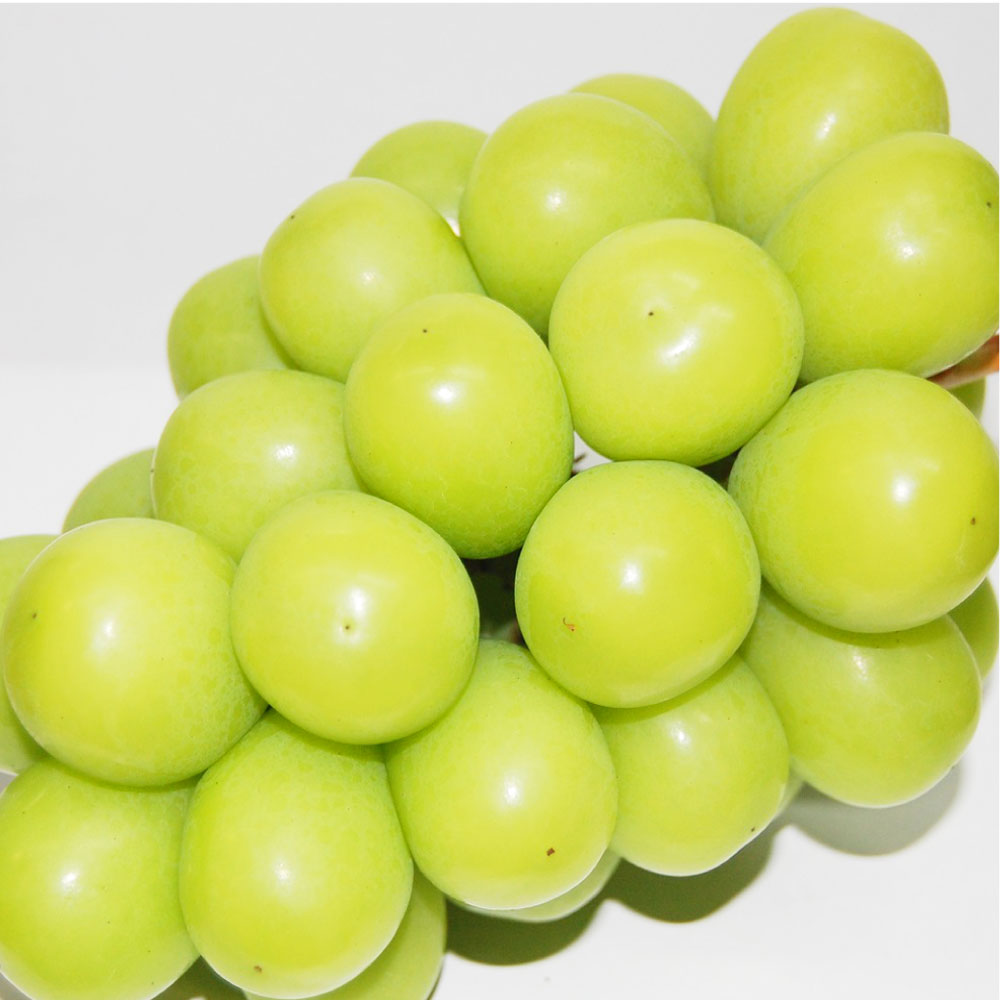 【ふるさと納税】果物詰合せ 岡山白桃 2玉 （1玉 220g～260g以上）《等級：ロイヤル》・シャインマスカット 晴王 1房 （380g～580g以上） ＜選べる容量＞ 計約820g / 計約1.1kg 桃 白桃 ぶどう 岡山県産 国産 フルーツ セット 【2026年7月上旬～8月下旬迄順次発送予定】