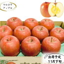 【ふるさと納税】【11月下旬発送】訳あり 家庭用 蜜入りサンふじ 約3kg【青森りんご・マルコウアップル】　板柳町　お届け：2024年11月下旬～2024年11月30日