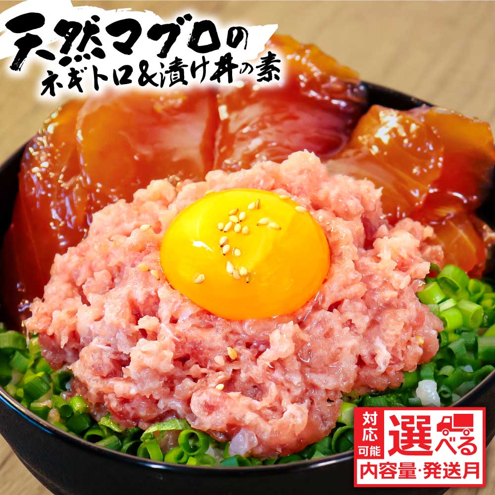 マグロ 12人前 ネギトロ80gx6P＋漬け鮪丼90gx6P 訳あり 鮪 冷凍配送 食品 簡易包装 わけ有り 保存食 小分け 高知 惣菜 人気 海鮮 まぐろ ネギトロ丼 まぐろたたき 海鮮丼 自然解凍 個食 一人暮らし 10000円 丼 漬け丼 お手軽（クラウドファンディング対象）