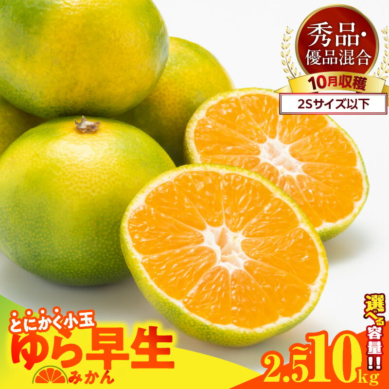【ふるさと納税】 【2025年先行予約】 ゆら早生 みかん 小玉 2Sサイズ 以下 秀優混合 選べる 内容量 箱込 2.5kg ～ 10kg 有田みかん 和歌山県産 爽やか 酸味 濃い味わい 秋みかん 糖度 高い みかんの会 フルーツ デザート お取り寄せ 和歌山県 湯浅町 送料無料