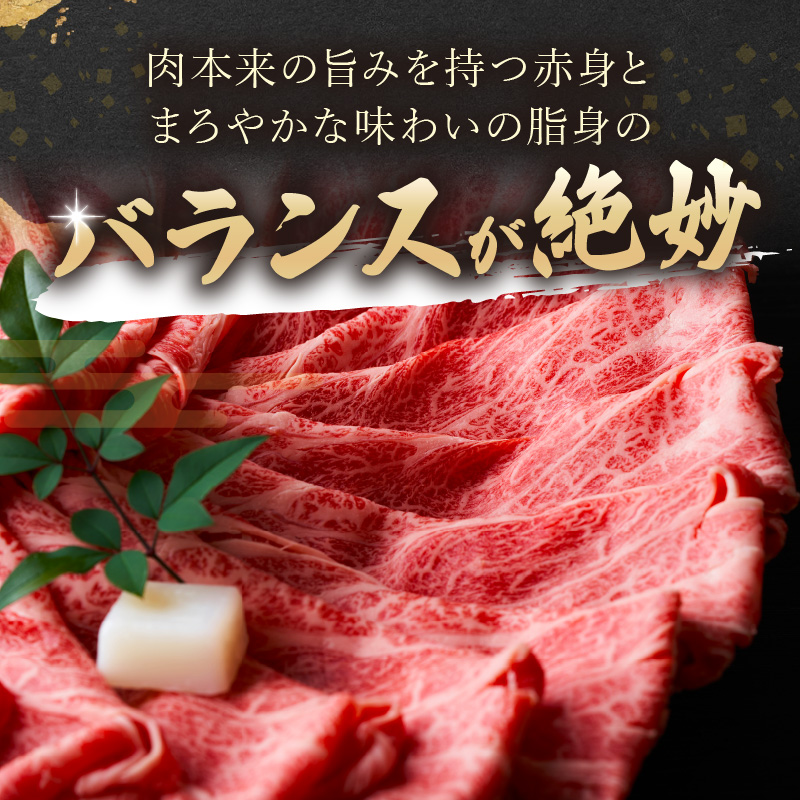 【厳選部位】【A4～A5】長崎和牛サーロインしゃぶしゃぶすき焼き用 500g【B5-079】肉 牛肉 牛 長崎和牛 国産牛 しゃぶしゃぶ すき焼き サーロイン