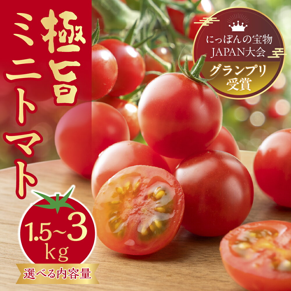 【ふるさと納税】グランプリ受賞 極旨 ミニトマト 1.5kg だしの出るトマト 新鮮 完熟トマト 出汁推し実 フルーツトマト 季節限定 健康 トマト 濃厚 とまと 薄皮 入手困難 幻 プチ 先行予約 産地直送 冷蔵 送料無料