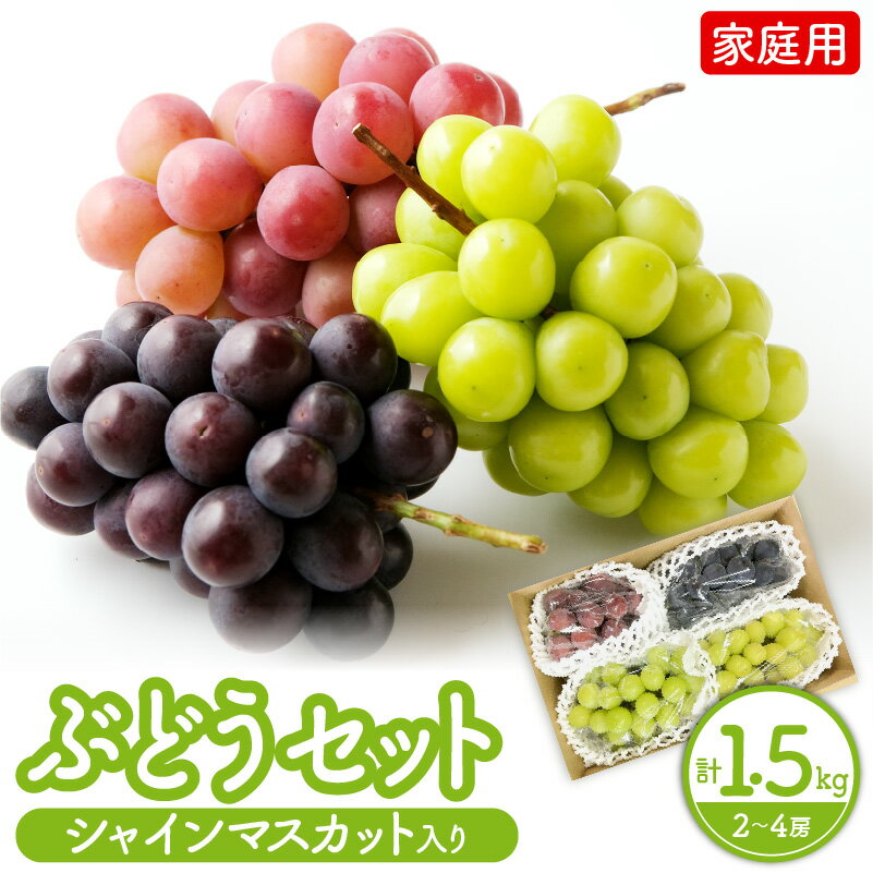 【ふるさと納税】シャインマスカット 入り 詰め合わせ ぶどう 1.5kg ご家庭用 果物 フルーツ 山形県 上山市 0065-2604