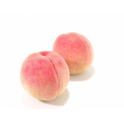 【ふるさと納税】【発送月固定定期便】山梨旬の味覚定期便【桃 約1kg/2色葡萄 1kg以上】全2回【配送不可地域：離島】【4082867】