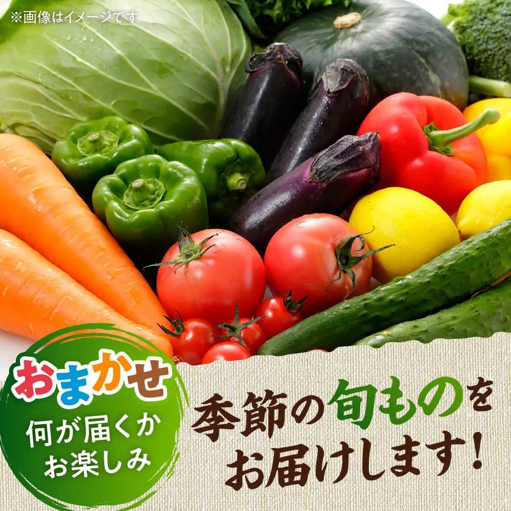 【全12回定期便】旬な野菜おまかせ詰め合わせセット 野菜 [AYCA002]