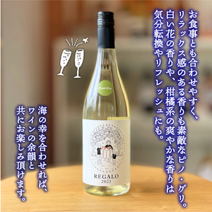 -大船渡で造るワイン- 赤白ワイン（メルロ / ピノ・グリ）2本セット 辛口 750ml お酒 アルコール ぶどう 葡萄 岩手県 大船渡市