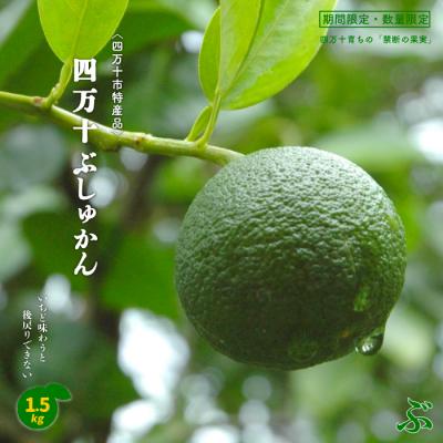 ふるさと納税 四万十市 【早期受付・期間限定・数量限定】&lt;四万十市特産品&gt;すっきりとした酸味と上品な香り!四万十ぶしゅかん
