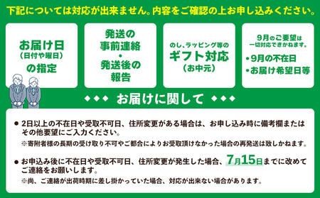 【2024年発送先行予約】沖縄県【琉花ファーム】キーツマンゴー　秀品2kg　（ご贈答用）