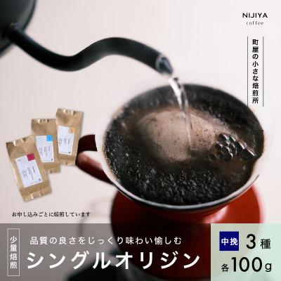 ふるさと納税 村上市 高品質シングルオリジンコーヒー飲み比べ3種(各100g )【 中挽き 】厳選スペシャルティコーヒー