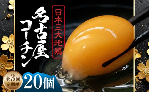 【定期便3回】名古屋コーチン 卵 毎月20個（18個＋割れ保証2個）×3ヶ月 / 卵 たまご 定期便 高級卵 / 稲沢市 / 櫛田養鶏場 [BMAY013]